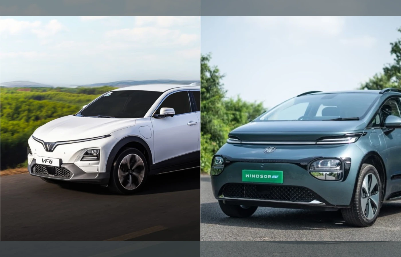 VF6 vs Windsor EV pro